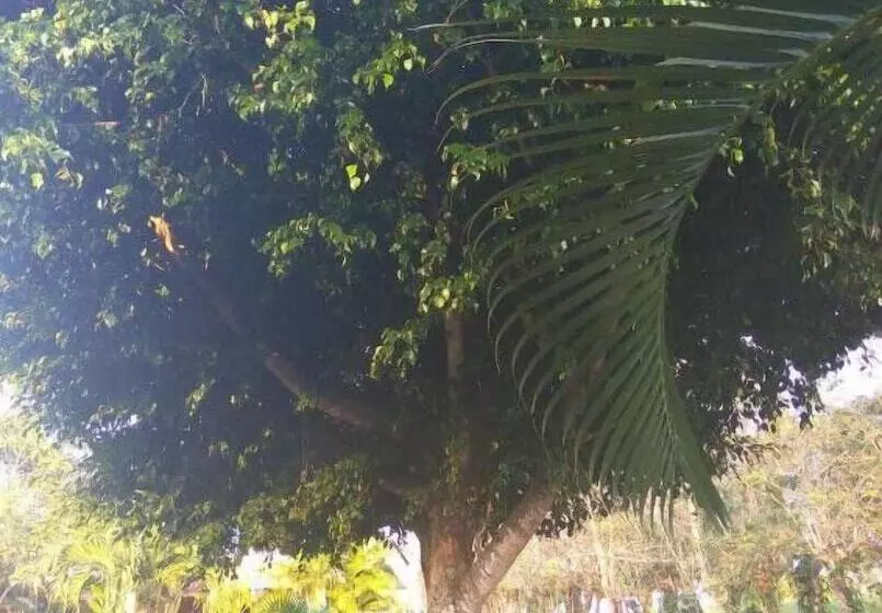 ホテル Cabañas El Porvenir
