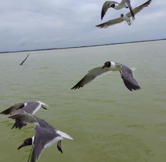 酒店 Casa Ka An Rio