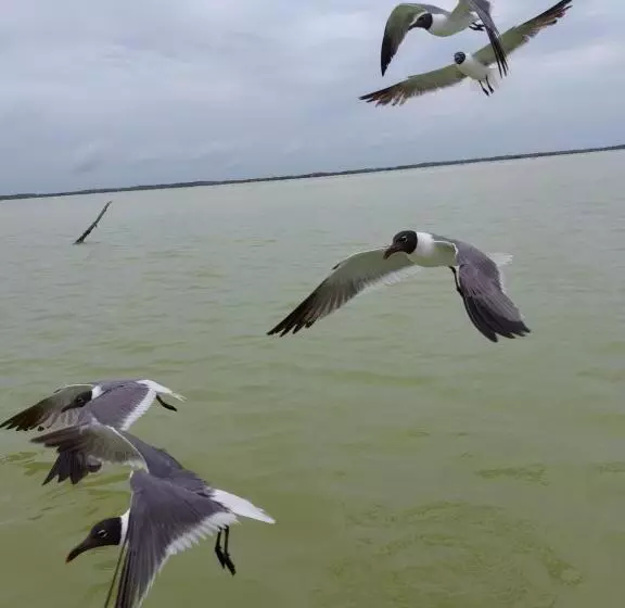 Hotelli Casa Ka An Rio