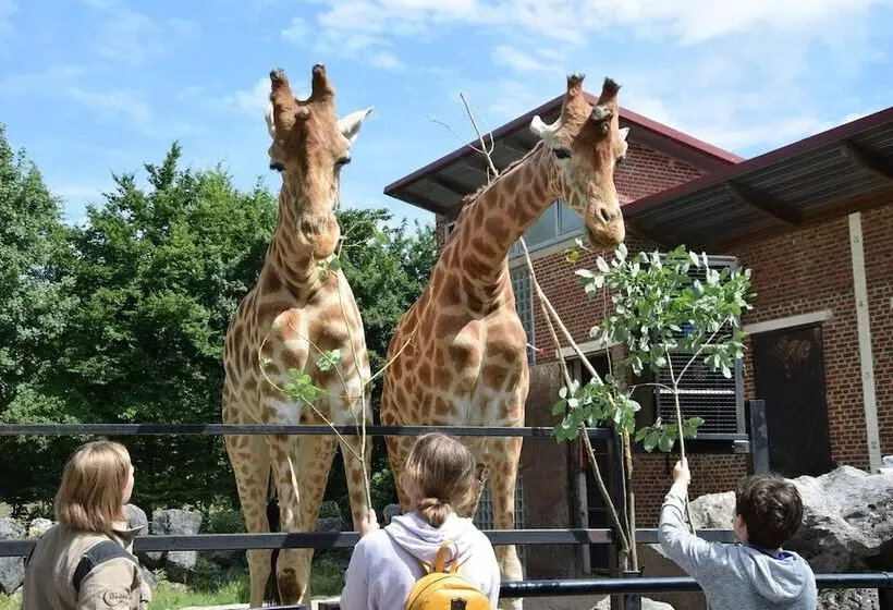 ホテル Chambres D Hôte  L écureuil  Proche De Mons, Pairi Daiza, à Côté De Spark Oh
