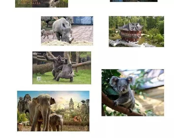 ホテル Chambres D Hôte  L écureuil  Proche De Mons, Pairi Daiza, à Côté De Spark Oh