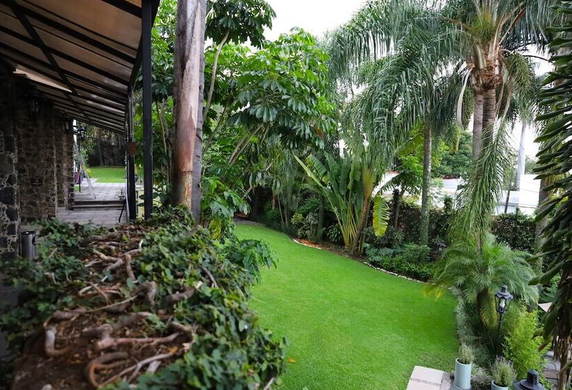 هتل Grand Vista Cuernavaca