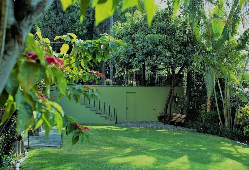 هتل Grand Vista Cuernavaca