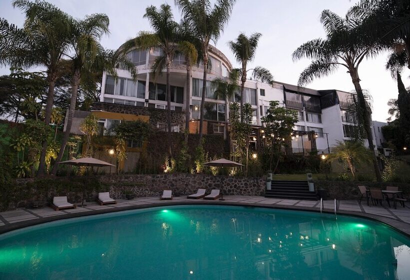 هتل Grand Vista Cuernavaca