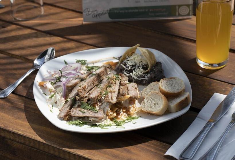 هتل Grand Vista Cuernavaca