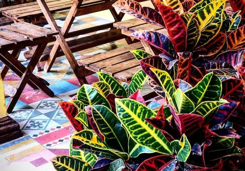 Otel Oj Wayan Hostal