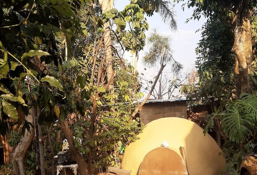 Otel Posada Bugambilias