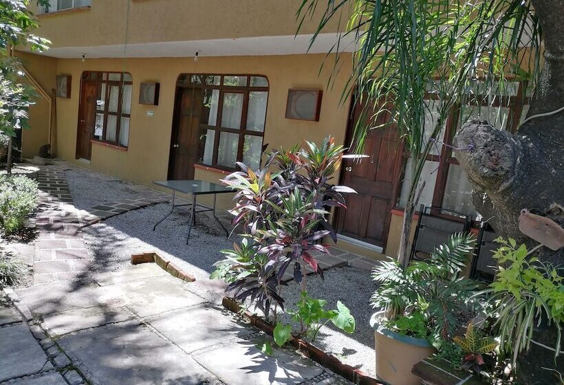 Otel Posada Bugambilias