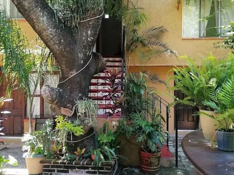 هتل Posada Bugambilias