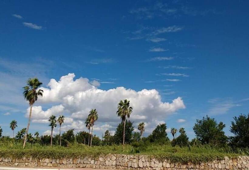 هتل Posada Señor Mañana