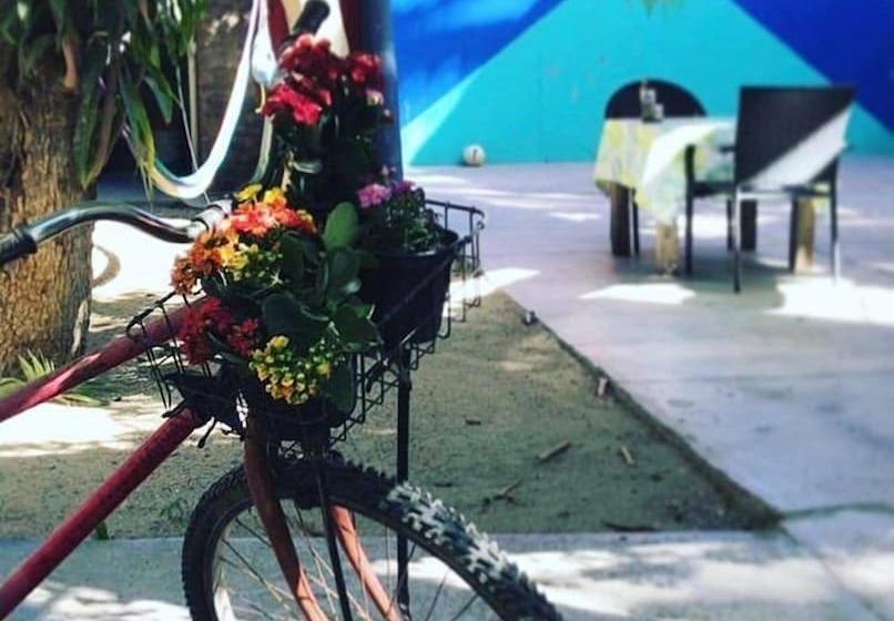 هتل Posada Señor Mañana