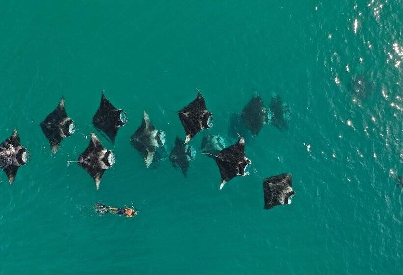 هتل Thundi Village And Spa