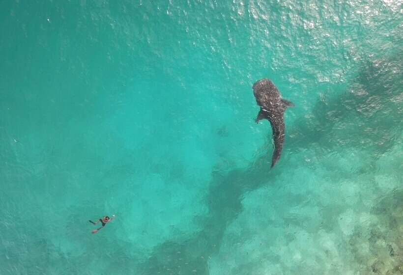 هتل Thundi Village And Spa