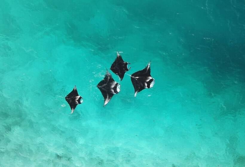 هتل Thundi Village And Spa