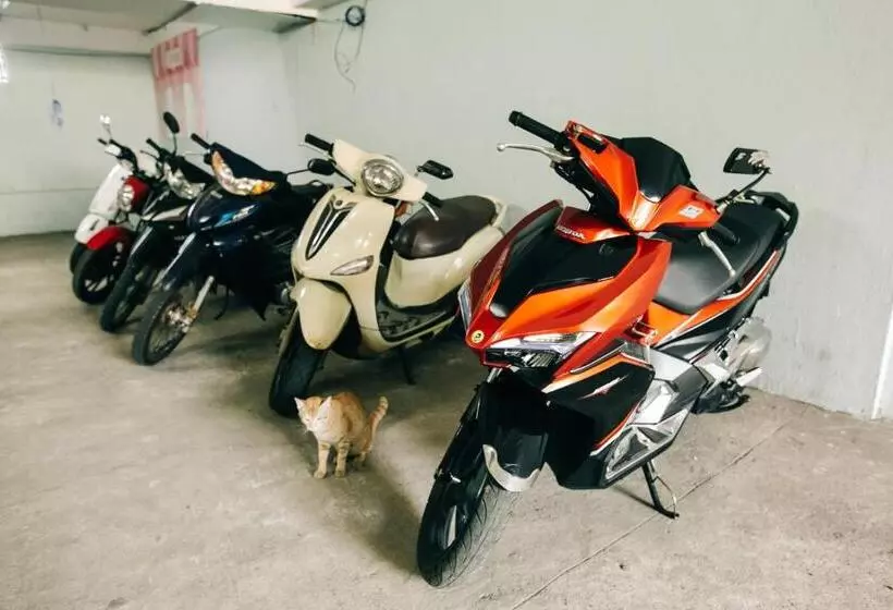 تختخواب و صبحانه Nhà Nghỉ Kim Lài   đối Diện Bệnh Viện Tỉnh Gia Lai  132 Tôn Thất Tùng