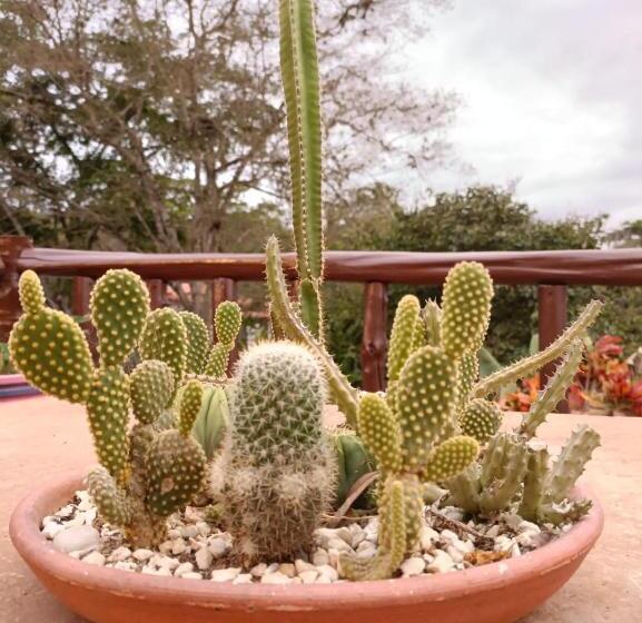 בית מלון כפרי Santa Monica Barichara