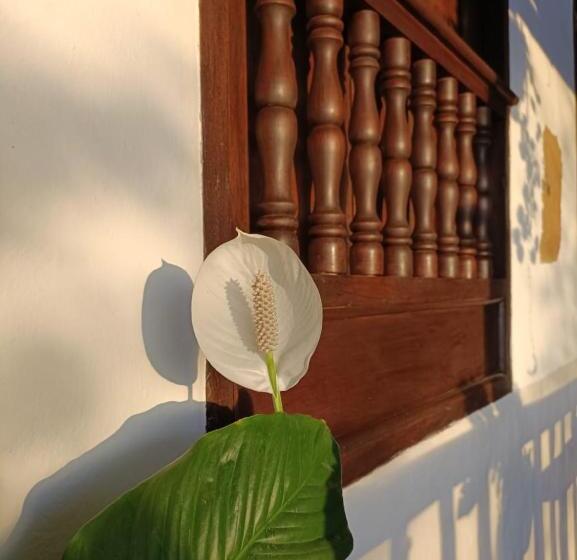 בית מלון כפרי Santa Monica Barichara