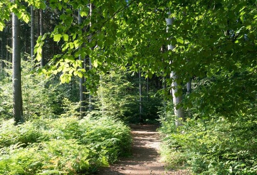 Itm Hotel Bettkästchen Am Sachsenwald