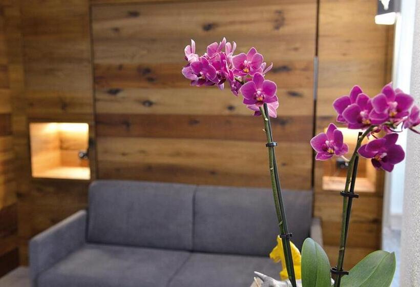 پانسیون Maison Du Passage