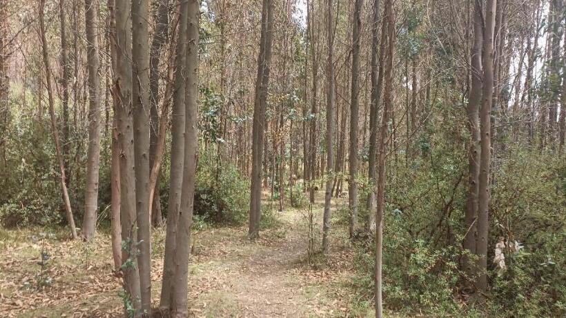 7th Wonder Apart Hotel Cusco