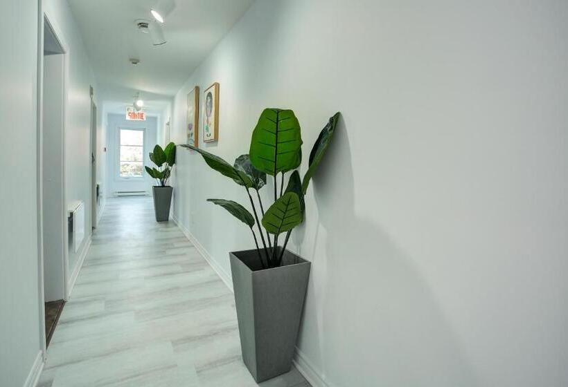 הוסטל Le 900 Tremblant Inn Cafe And Bistro