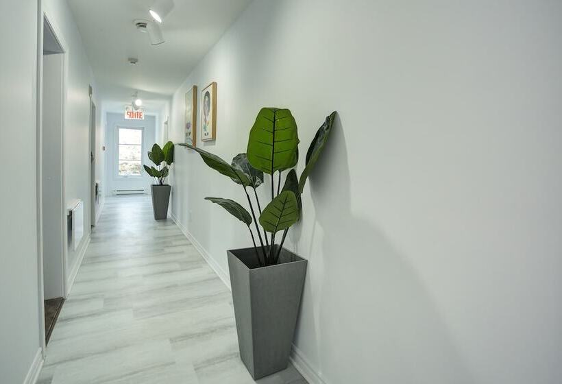 הוסטל Le 900 Tremblant Inn Cafe And Bistro