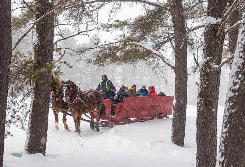 הוסטל Le 900 Tremblant Inn Cafe And Bistro