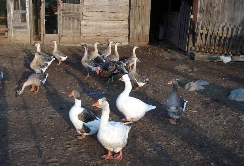 Casa Rural Can Jepet