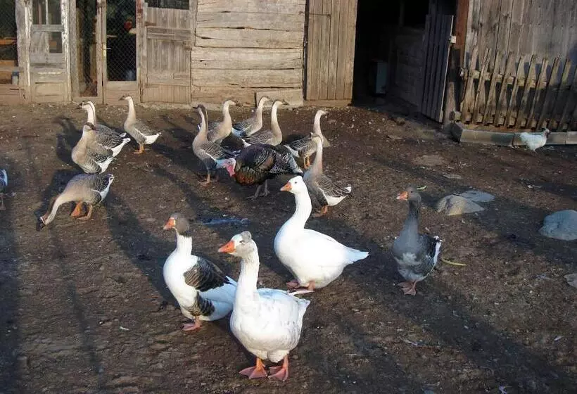 Casa Rural Can Jepet