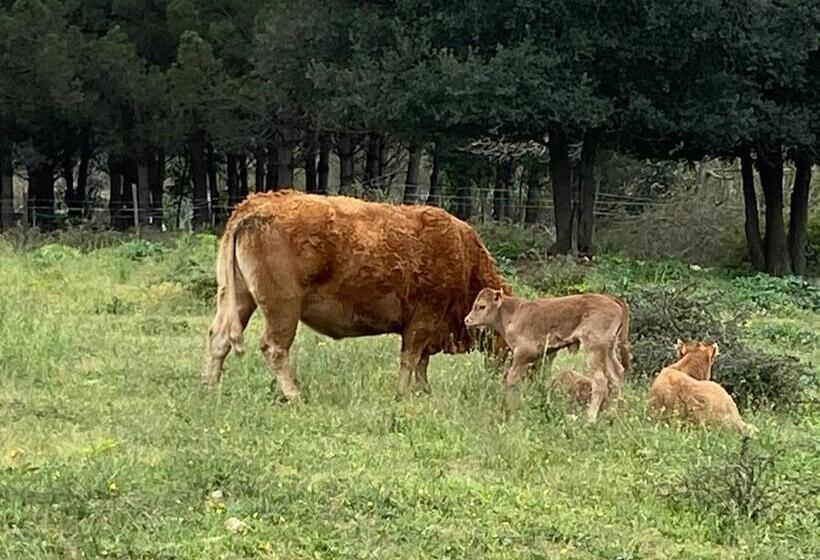 Casa Rural Can Jepet