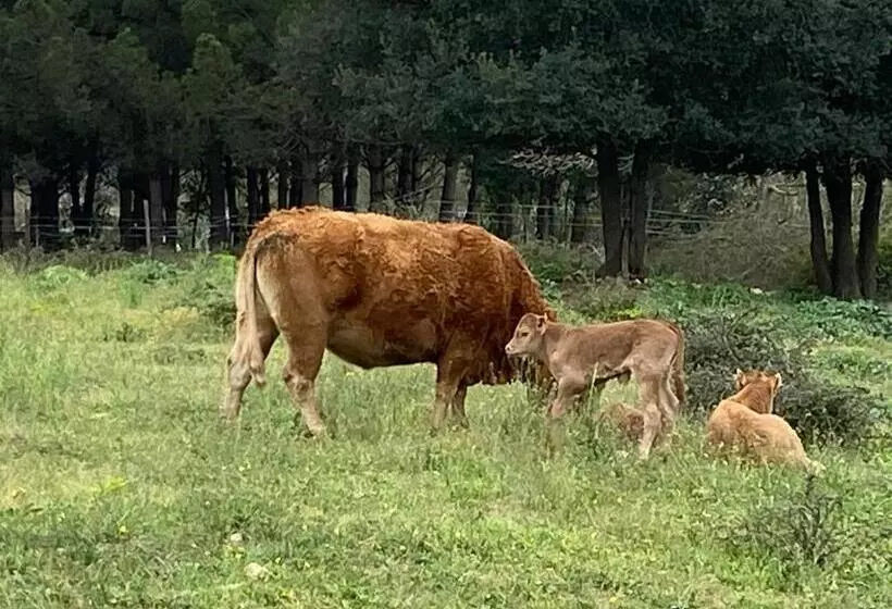 Casa Rural Can Jepet