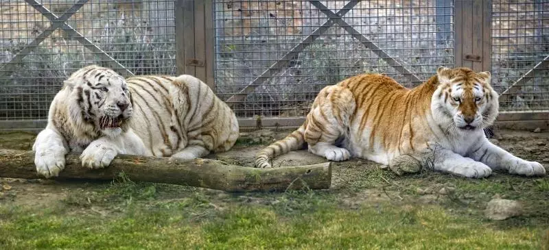 Casa Rural  La Bardena Blanca I