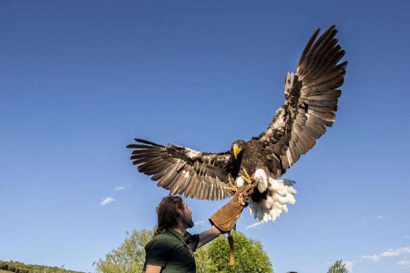 Casa Rural  La Bardena Blanca I