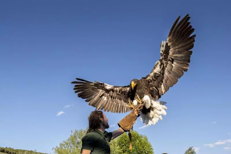 Casa Rural  La Bardena Blanca I
