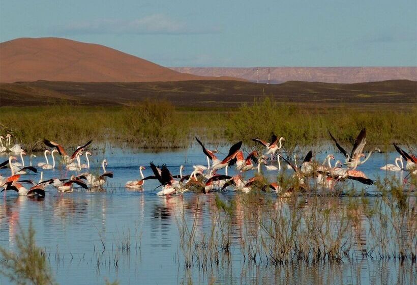 فندق Haven La Chance Desert