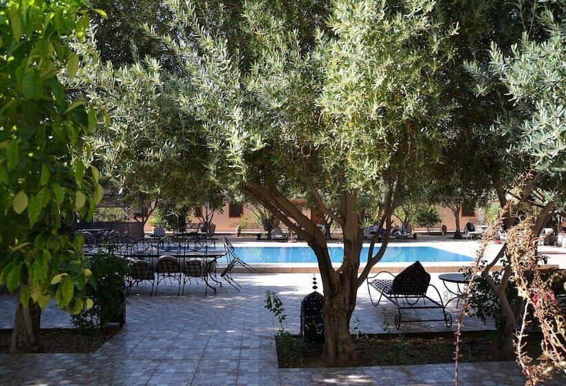 فندق Haven La Chance Desert