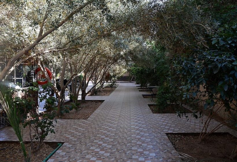 فندق Haven La Chance Desert