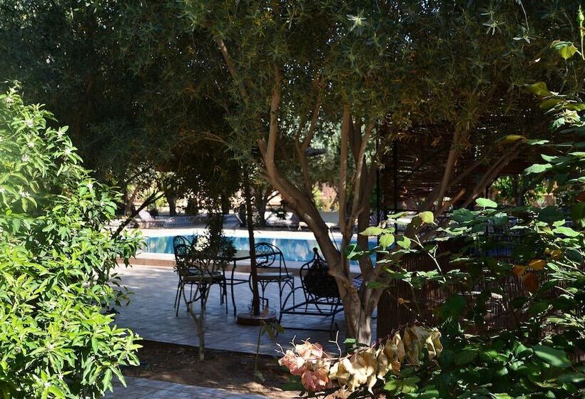 فندق Haven La Chance Desert