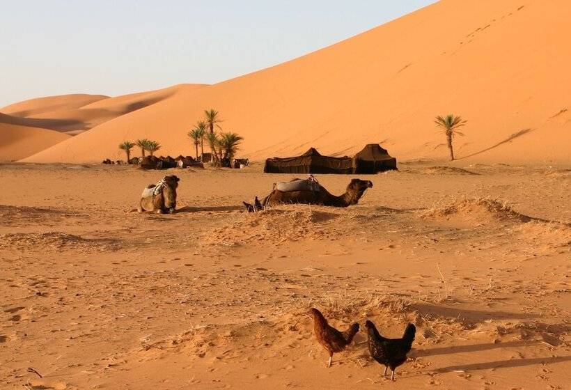 فندق Haven La Chance Desert