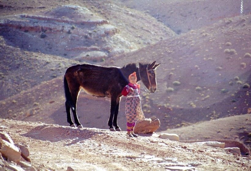 فندق Haven La Chance Desert
