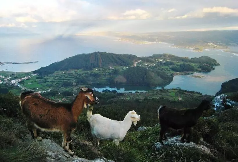 فندق ريفى El Castaño Dormilón
