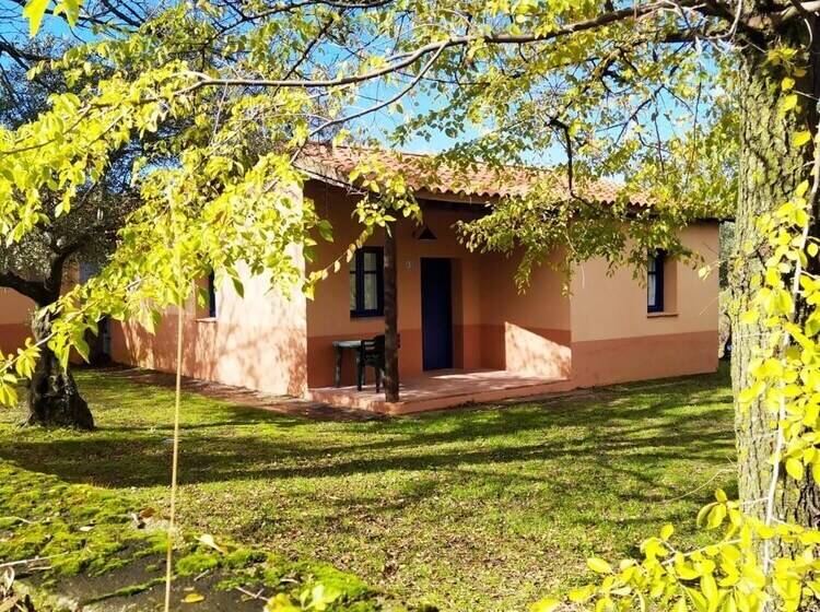 Apartamentos & Habitaciones Vetonia