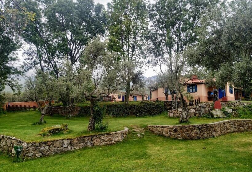 Apartamentos & Habitaciones Vetonia