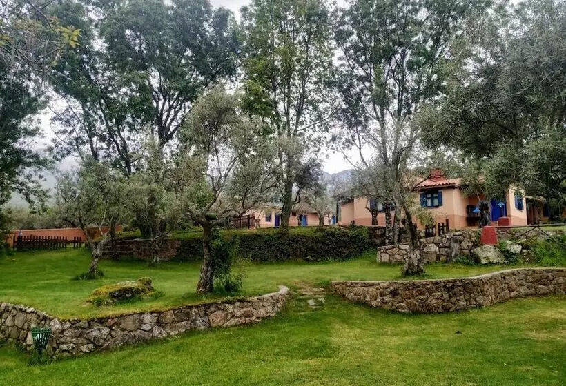 Apartamentos & Habitaciones Vetonia