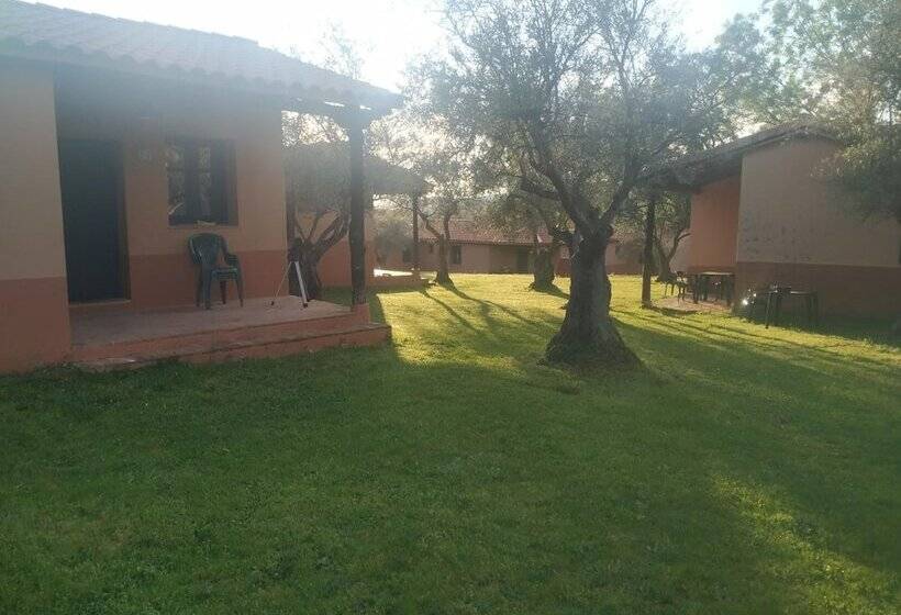 Apartamentos & Habitaciones Vetonia