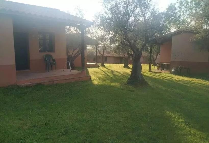 Apartamentos & Habitaciones Vetonia