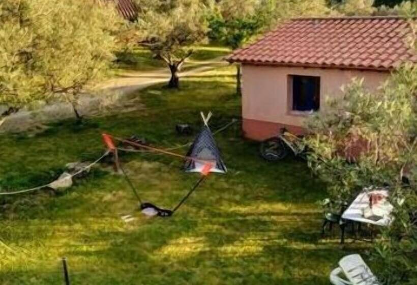 Apartamentos & Habitaciones Vetonia