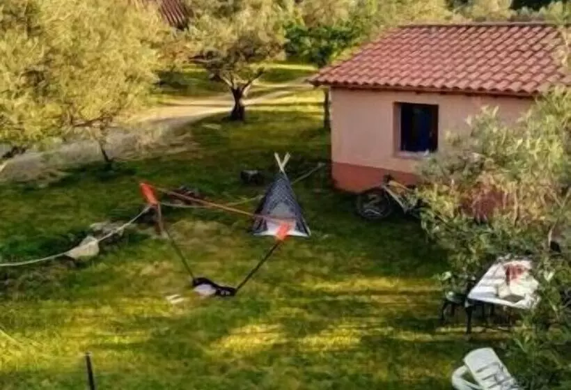 Apartamentos & Habitaciones Vetonia