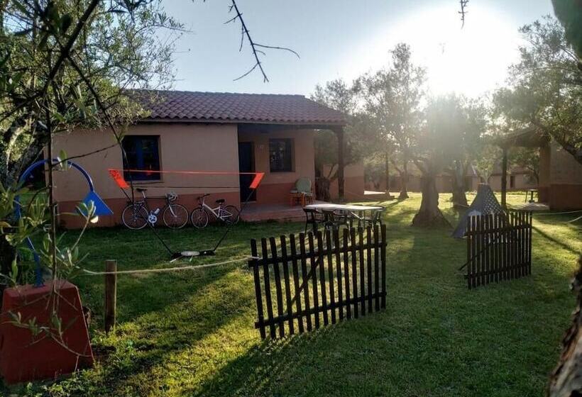 Apartamentos & Habitaciones Vetonia