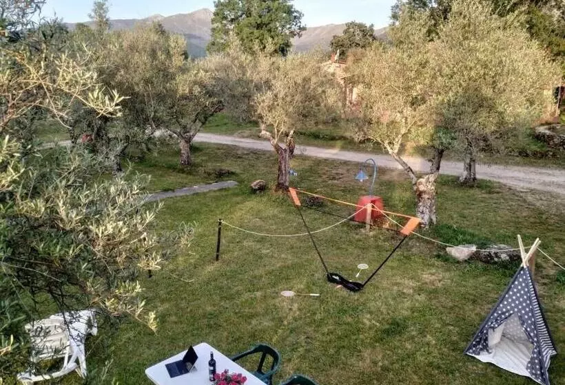 Apartamentos & Habitaciones Vetonia